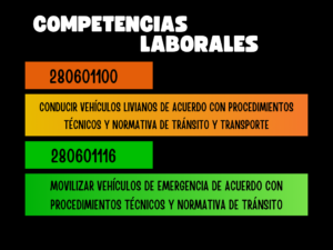 FINSTRUVIAL, MANEJO DEFENSIVO, 280601100