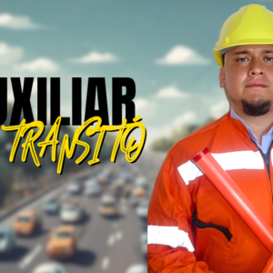 finstruvial, auxiliar de transito, curso de paletero